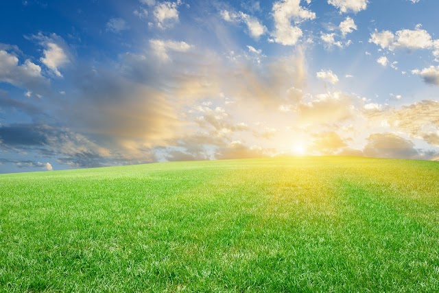 Foto de Common Energy S.L.