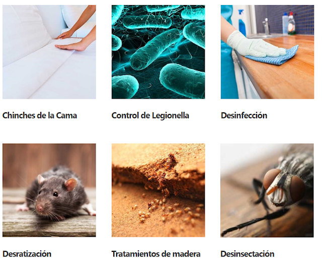 Dermes Control de Plagas